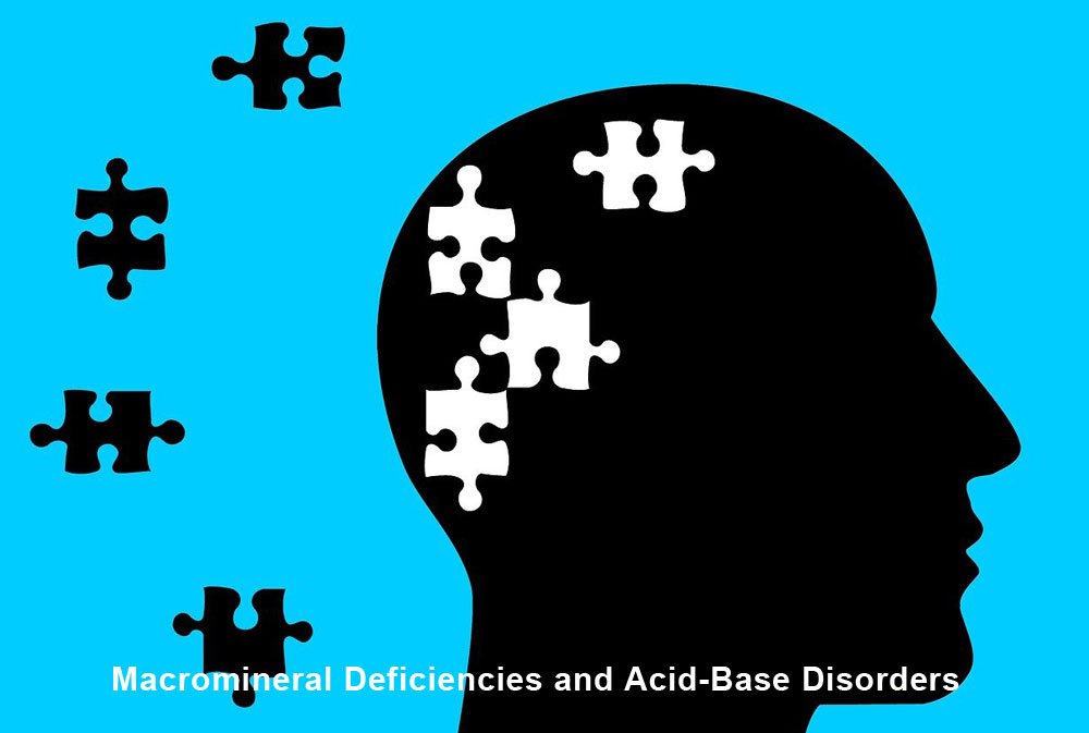 Macromineral Deficiencies and Acid-Base Disorders