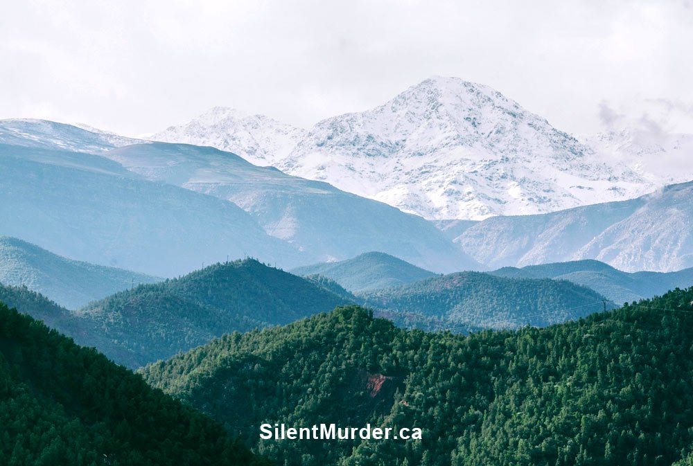 Silent Murder (SilentMurder.ca)