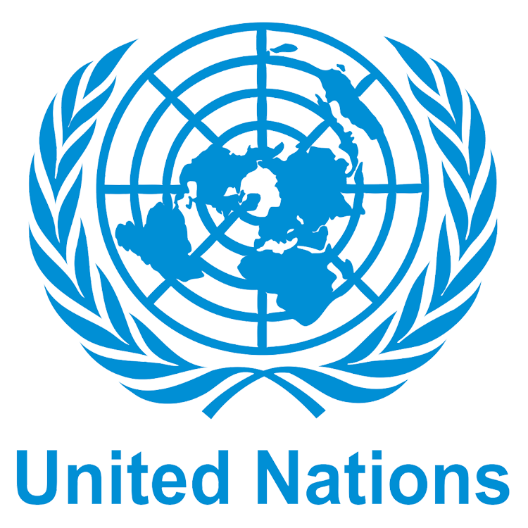 UN Logo